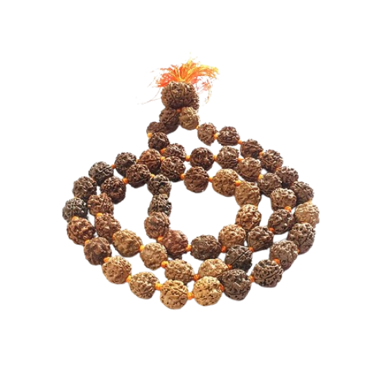3 Mukhi Rudraksha Mala 20 Inch
